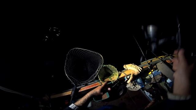 КИЛОГРАММОВЫЙ КАРАСЬ ОДИН ЗА ОДНИМ смотреть онлайн