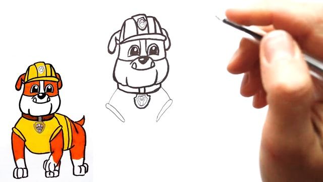 Как нарисовать щенка КРЕПЫША из мультика ЩЕНЯЧИЙ ПАТРУЛЬ. How to draw RUBBLE Paw Patrol characters. смотреть онлайн
