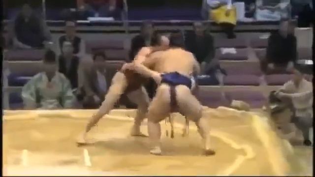 СУМО. Таканояма Сюнтаро (Чех)
