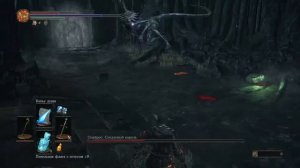 Dark Souls 3 - Босс 15 (Оцейрос, Снедаемый король) маг