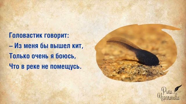 Скороговорки для детей (развитие речи) смотреть онлайн