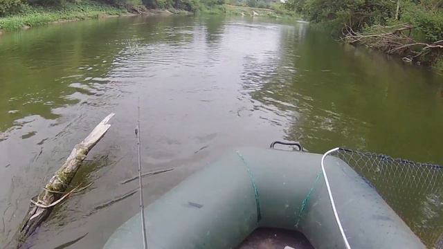 Такие поклевки всегда происходят внезапно . смотреть онлайн