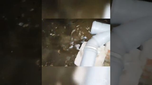 ‼️?Диверсии от ЖИЛСЕРВИС продолжаются...⁉️☝️д40 улБелорусская гБрянск #летопись32 #осгбрянск #жкх смотреть онлайн