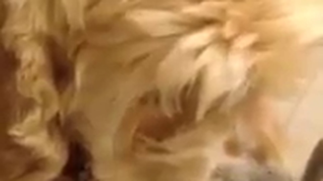 серьёзный разговор с Валентином смотреть онлайн