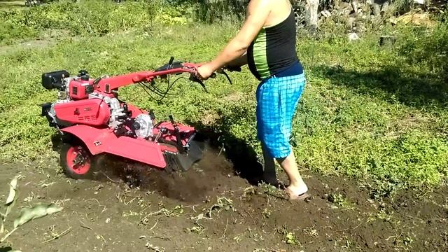 Мотоблок Weima 610 (культивация) Часть 4 смотреть онлайн