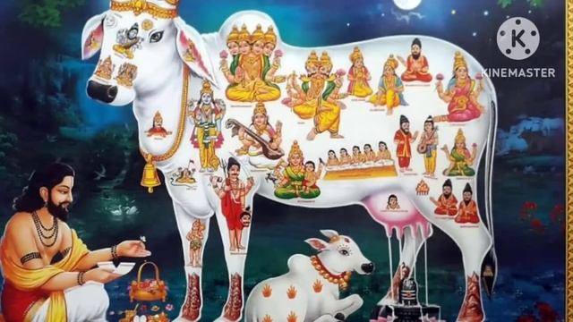 ગાય માતાની વિનંતી || ગુજરાતી કીર્તન || Radhe Krishna kirtan કિતૅન નીચે લખેલ છે смотреть онлайн