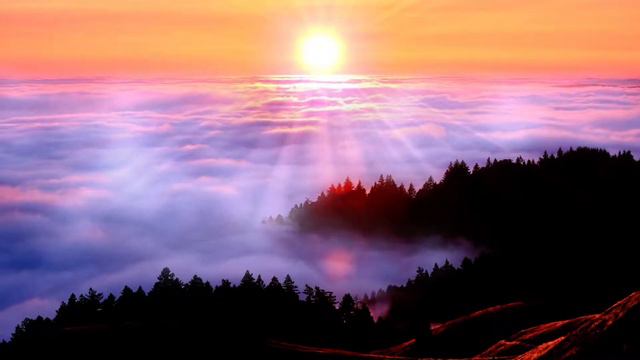 Разница между мужчиной и женщиной. смотреть онлайн