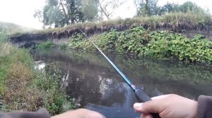 Ручей. Ловля на микроколебалку.