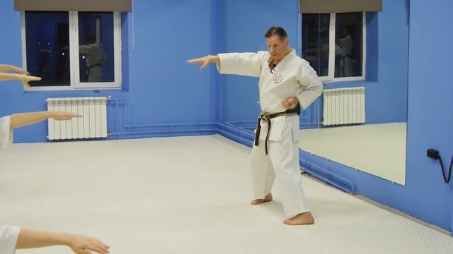 Пинан-1 (часть 2) Ката Пинан Cоно Ичи киокушинкай каратэ Kyokushin karate/ Kata Pinan sono ichi смотреть онлайн