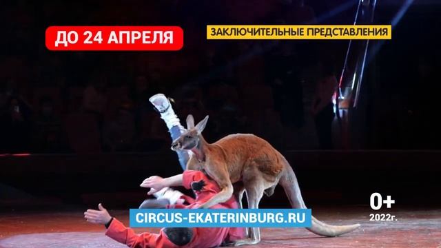 Екатеринбург Цирк смотреть онлайн