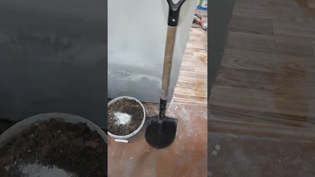 Повышенная влажность в доме. В чём могут быть проблемы. смотреть онлайн