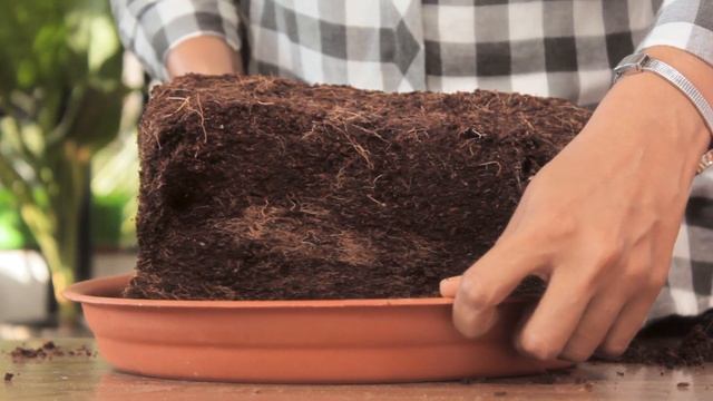 TrustBin Composter | Day 16 | TrustBasket | Convert Kitchen Waste into Compost | Episode - 9 смотреть онлайн