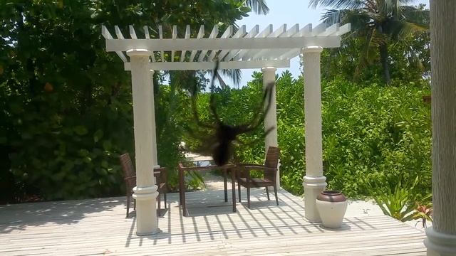 Специально для арахнофобов смотреть онлайн