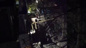 Инцидент в Ленинском районе Саратова