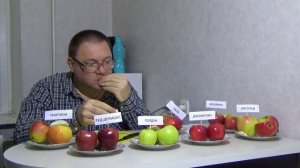 Дегустация яблок. Сравниваем вкус 7 сортов яблок
