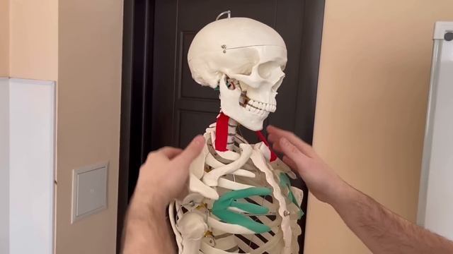 3 самых эффективных упражнения для хорошей осанки. Как исправить сутулость навсегда смотреть онлайн