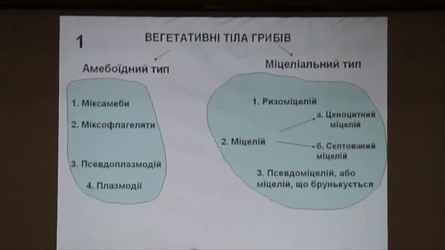 ботаника 1 лекция смотреть онлайн