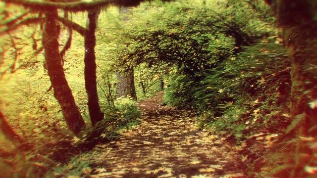 Лечебные Звуки Леса и Весеннее Пение Птиц. Бинауральный Звук 3Д смотреть онлайн