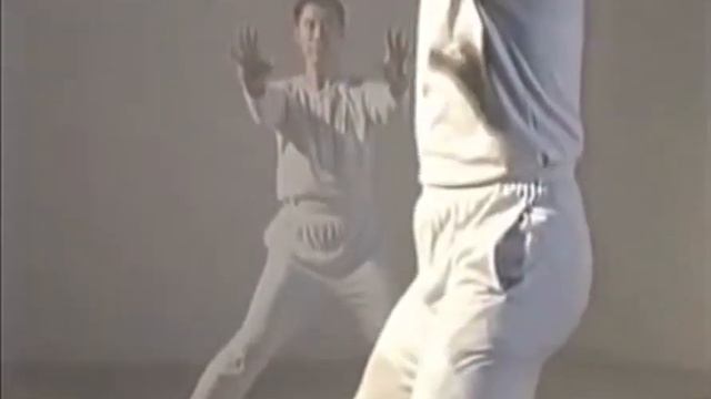 Тайцзицюань (Meditation Step 2 - Basic Principles) смотреть онлайн