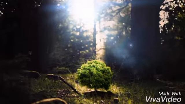 Стихи о любви ❤️ #стихи #поэзия #стихиолюбви смотреть онлайн