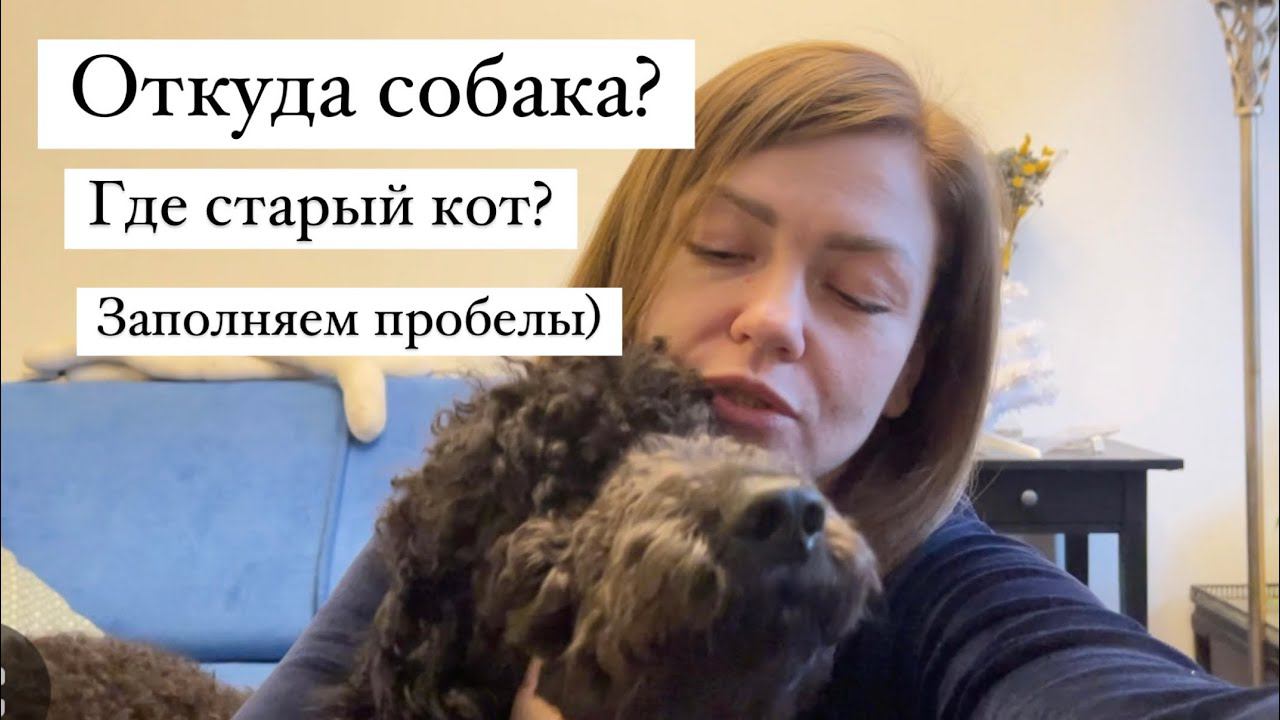 Душевный ВЛОГ: ждём Веронику, рада возвращению на ютуб, болтаю смотреть онлайн
