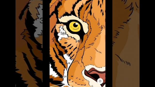 Zen Color by Numbers Game - Watch it Unfold!