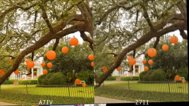 Sony A7IV VS Nikon Z7II | Camera Test смотреть онлайн