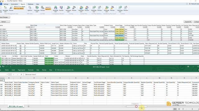 AccuPlan Database Report смотреть онлайн
