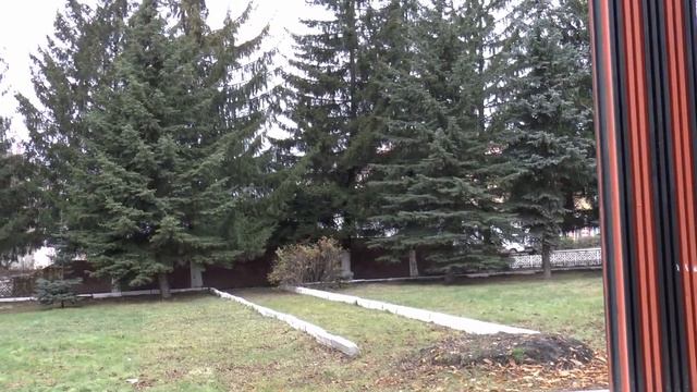 Наш городской парк и утки на пруду,Шумерля 30 10 2017 г смотреть онлайн