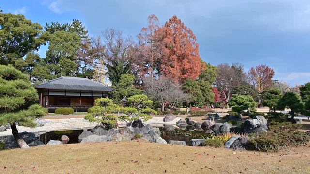 元離宮二条城の紅葉見頃( Autumn Leaves at the former Imperial Villa Nijo Castle)；2023-12-07 смотреть онлайн