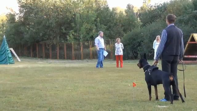 Napalm Dob August смотреть онлайн