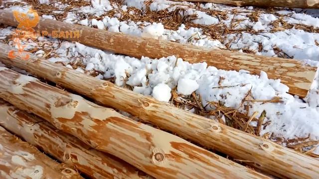 Для РУБКИ БАНЬ ~ Сосна Готова! смотреть онлайн