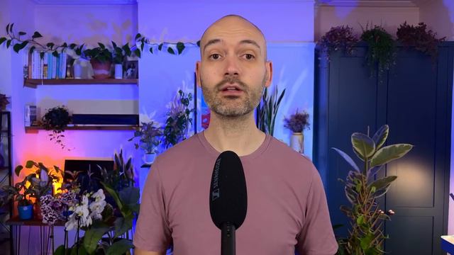 I Stopped Killing My Tradescantia Once I Learned This смотреть онлайн