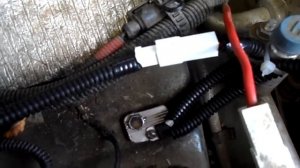 дхо на шниву в поворотники