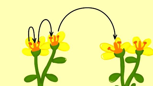 Что такое Опыление? смотреть онлайн