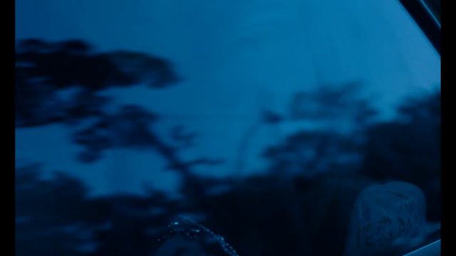 Kirsten Dunst in THE VIRGIN SUICIDES - Film Clip смотреть онлайн