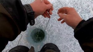 Рыбалка на КОСЫНКИ-Раскладушки! Отличный улов!