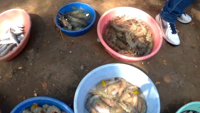 Кочи Индия. Аэропорт, грязные пляжи и морепродукты