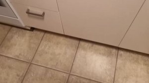 Не сливает посудомоечная машина:-(( Опыт из жизни.