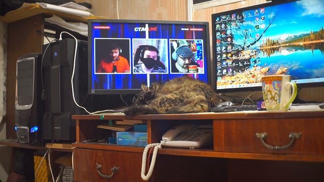 Кошка лежит отдыхает на моём рабочем столе, Часть 1 смотреть онлайн