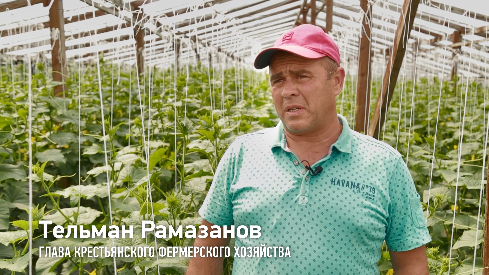 КФХ Рамазанов Тельман Имранович