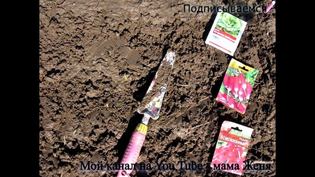 Поездка на дачу-3: любуемся первоцветами, певый посев и опрыскивание смотреть онлайн