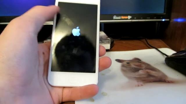 GadgetBand.ru - Обзор ipod touch 5 32GB смотреть онлайн