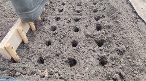 Приспособление для посадки лука и чеснока. Быстро и удобно.