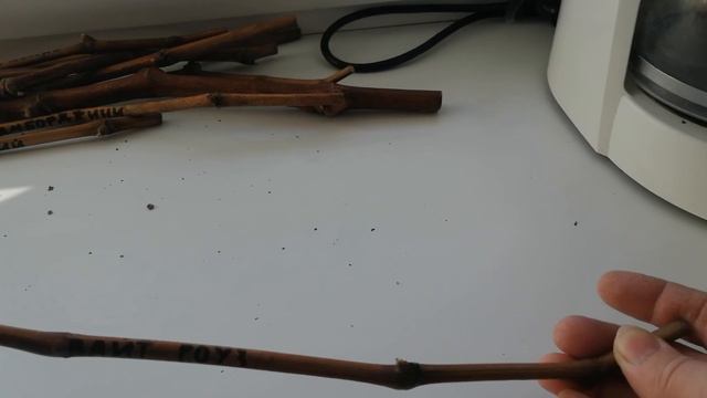 Посылка с черенками винограда от Мансурова Сергея Краснодарский край смотреть онлайн