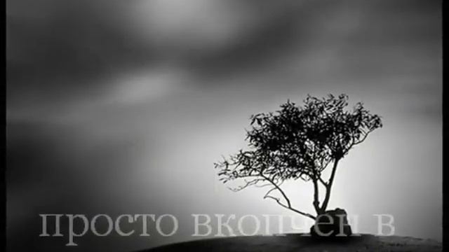 Accept - Kill the Pain... by Faidiii - превод.flv смотреть онлайн