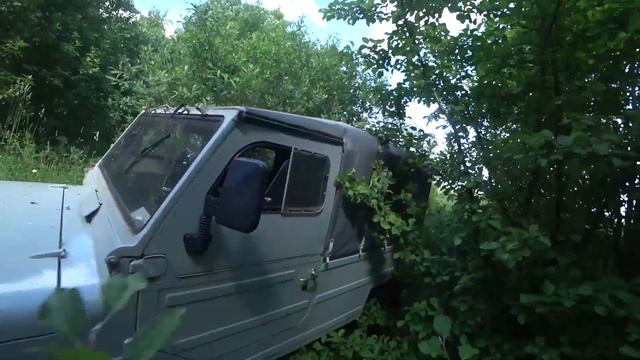 Денга ПЕТРА 1/Не зря комаров кормили...Поиск клада и ягод... смотреть онлайн