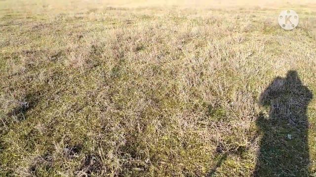 КОП 2021. ПОИСК МОНЕТ И КЛАДОВ С МЕТАЛЛОИСКАТЕЛЕМ ФОРТУНА ПРО 2, XP DEUS В МЕРЗЛОЙ ЗЕМЛЕ. смотреть онлайн