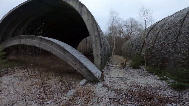 Грибы в московской области в декабре, зимний опёнок в подмосковье. Часть II смотреть онлайн