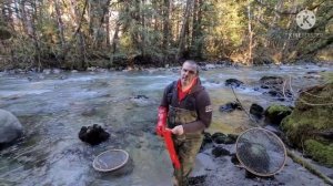 #поиск сапфиров, испытание сит для добычи драгоценных кристаллов.#